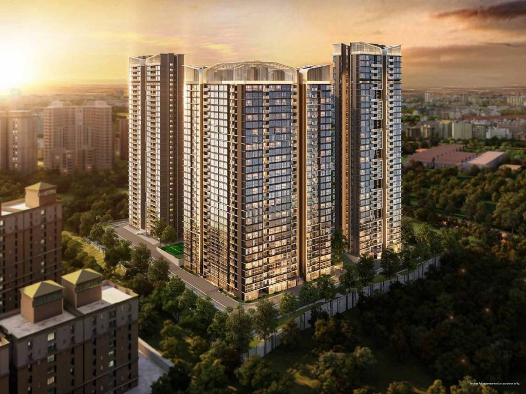  serein phase ii Elevation