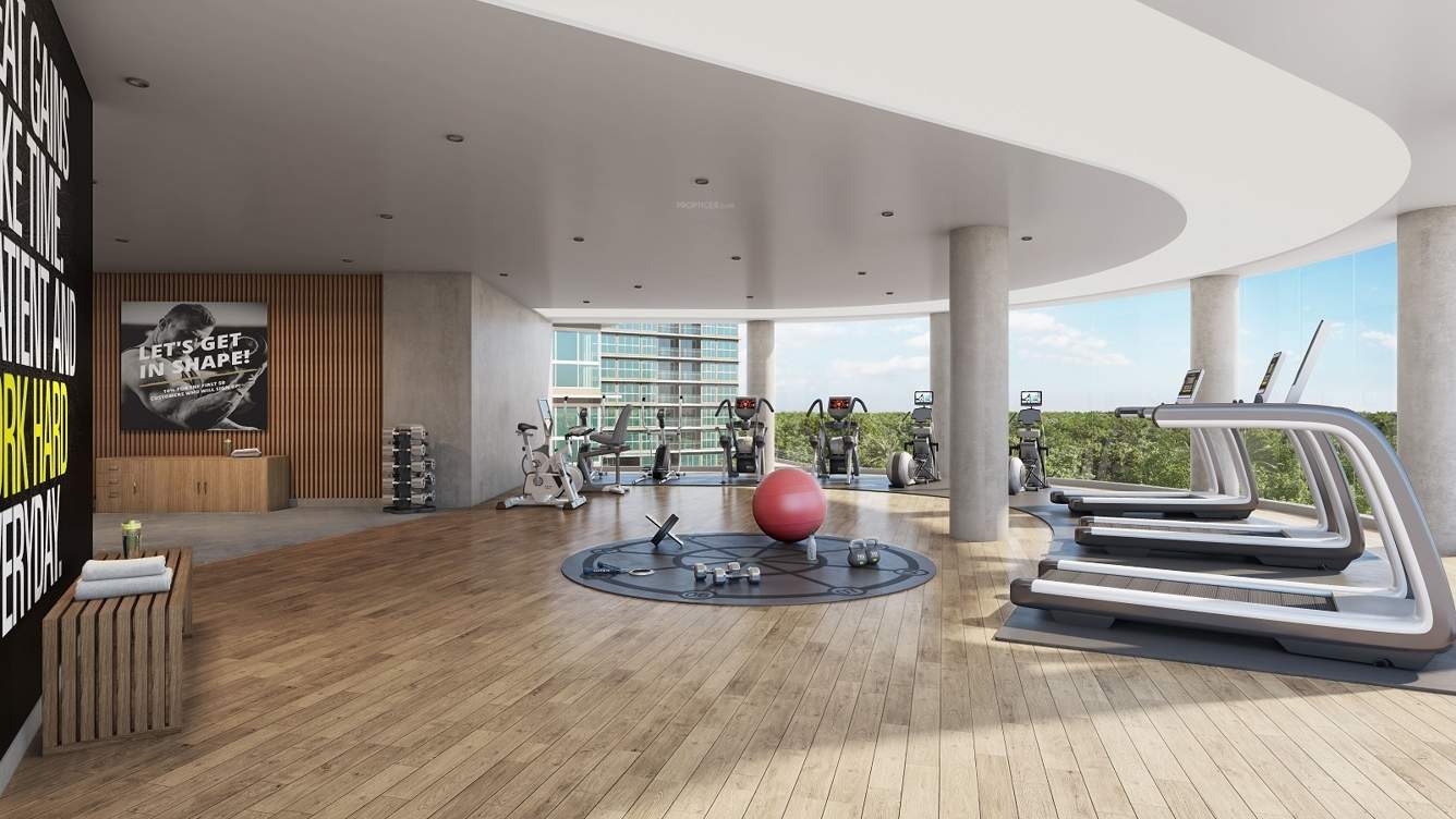  serein phase ii Gymnasium