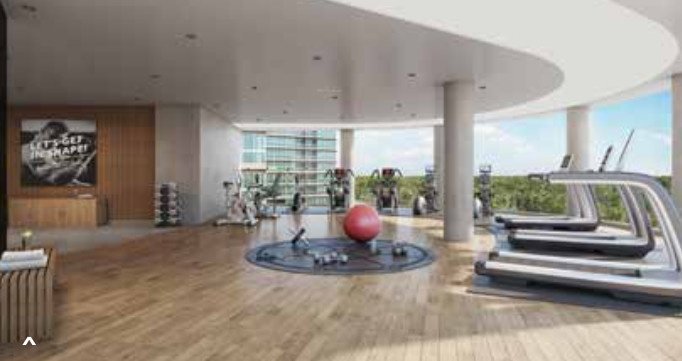  serein phase ii Gymnasium