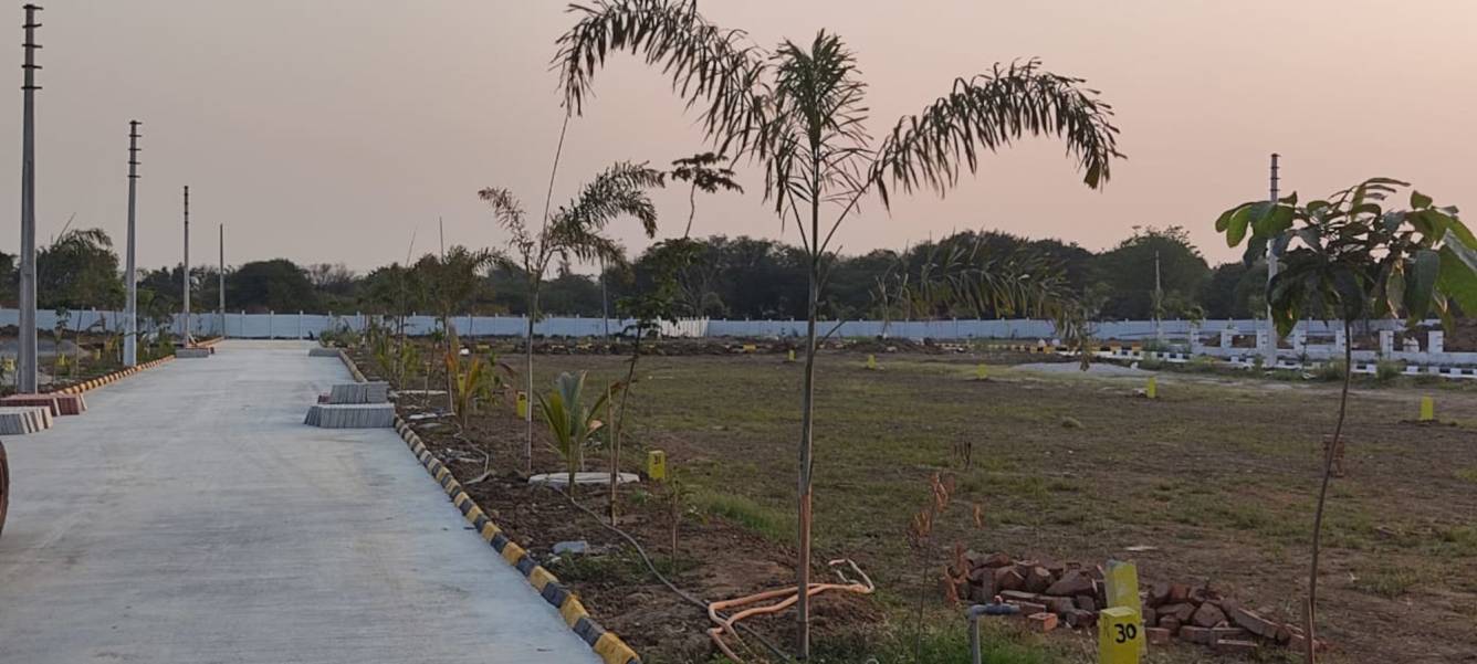 Elevation global city Elevation