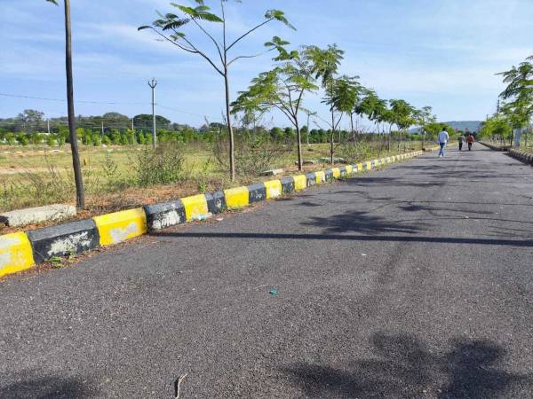  golden-exotica Internal Roads