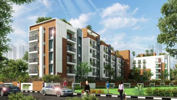 Elevation green-crest Elevation