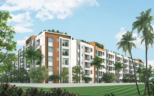  green-crest Landscape Garden and Tree Planting