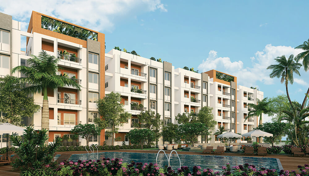  green crest Swimming Pool