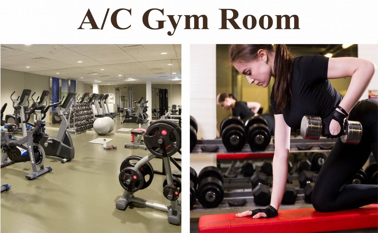  shangri la imperial Others