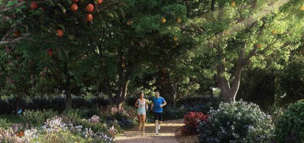  parkland-estate Jogging Track