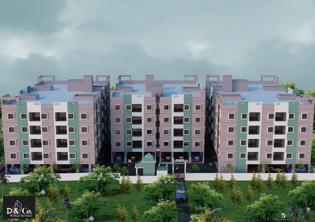  hari Elevation