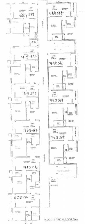  homes Cluster Plan