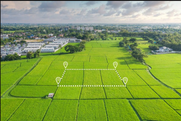  green-earth-phase-i Elevation