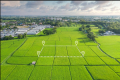 Annragh International Green Earth Phase I