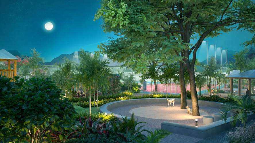  silverwoods Landscape Garden and Tree Planting