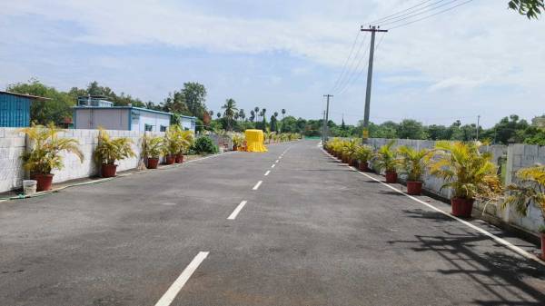  sai-kriba-enclave Plot