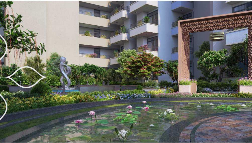  the century garden Others