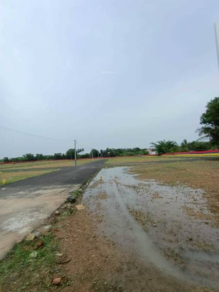  msr-garden Internal Roads