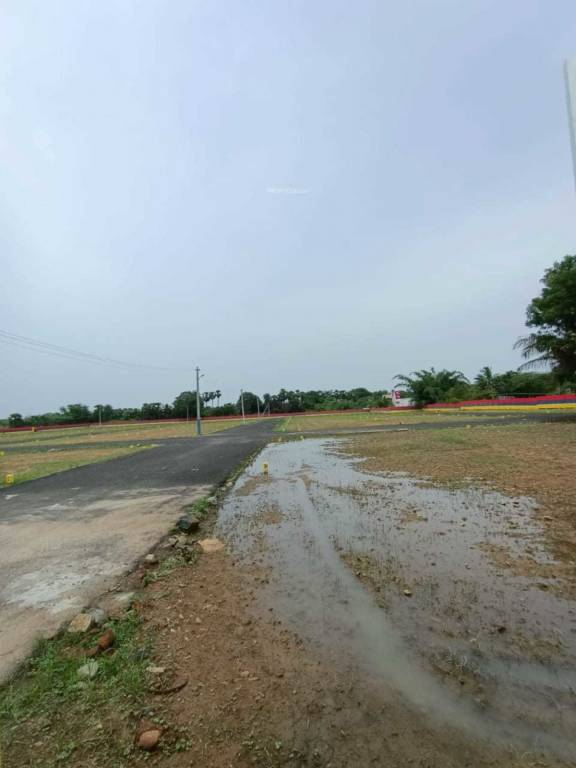  msr garden Internal Roads