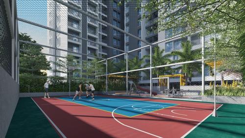  exotica Basketball Court