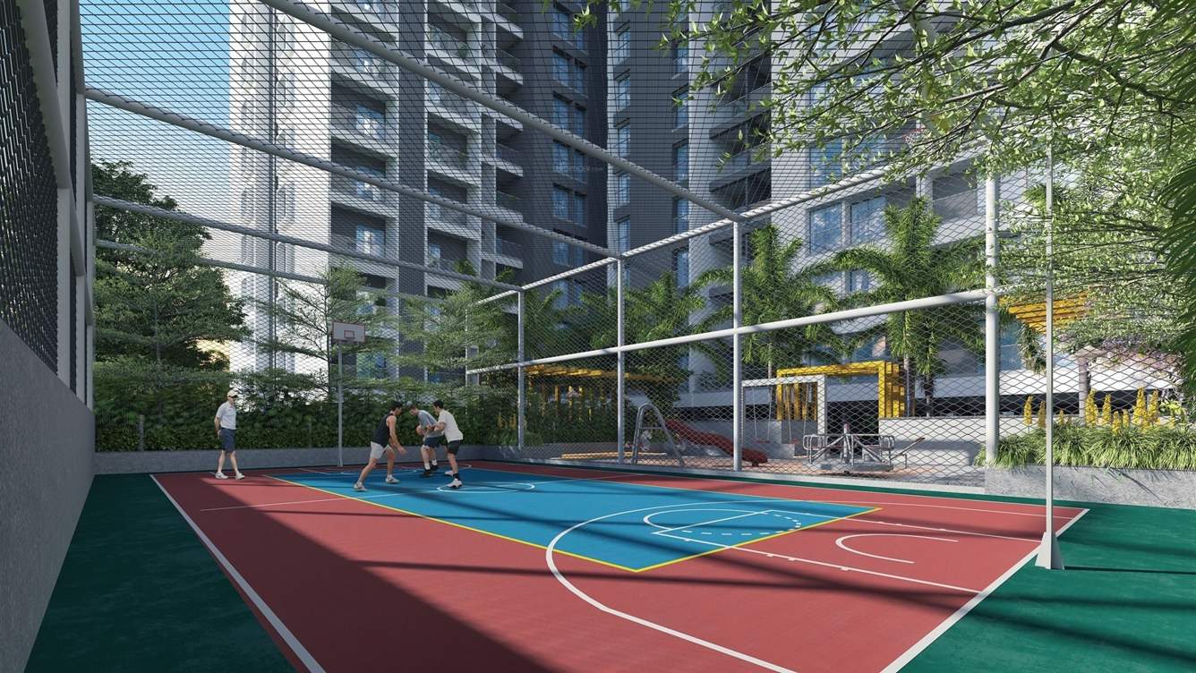  exotica Basketball Court