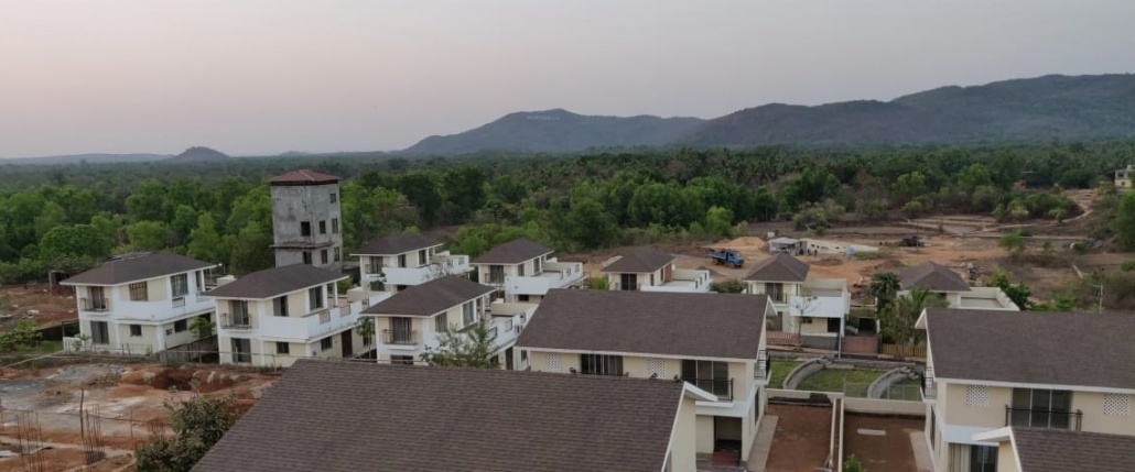  vrukshavalli b4 Others