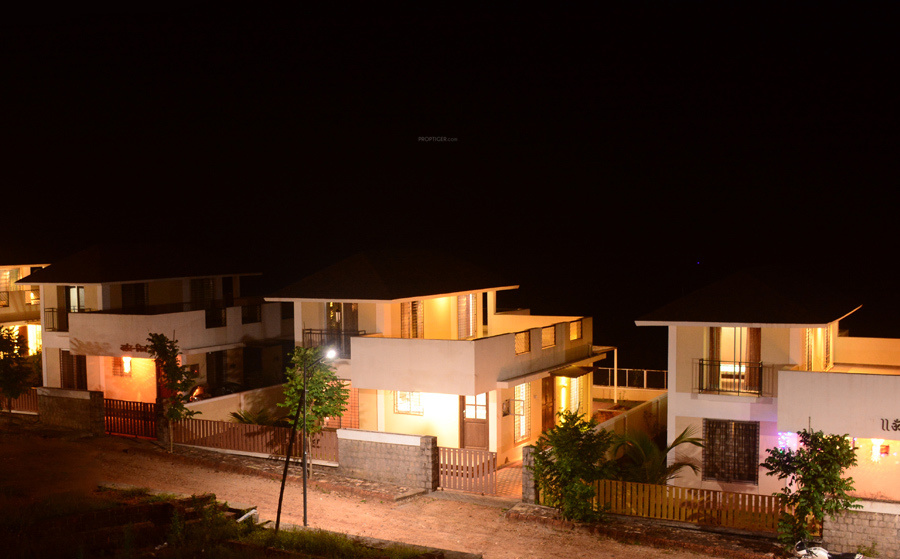  vrukshavalli b4 Others