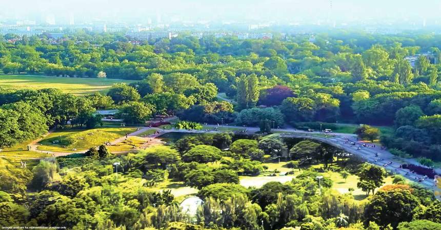  ecopolitan phase 4 Landscape Garden and Tree Planting