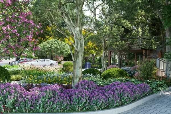  ecopolitan Landscape Garden and Tree Planting