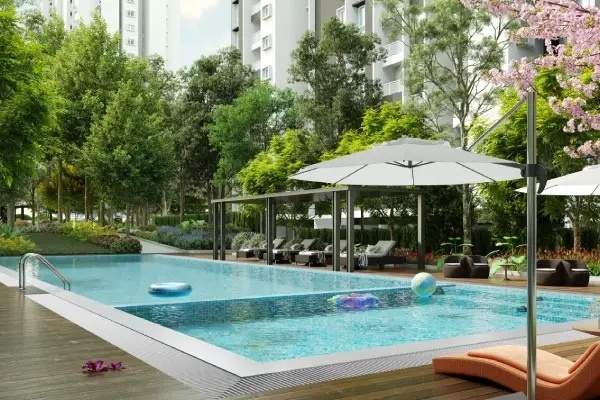  ecopolitan Swimming Pool