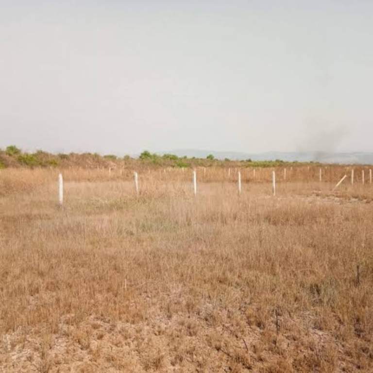  properties vindhane Plot