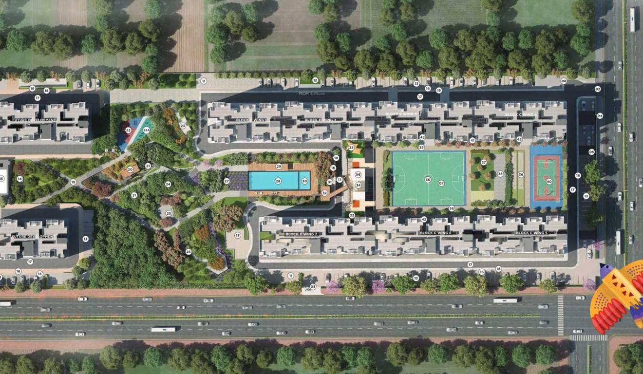 Purva Northern Lights