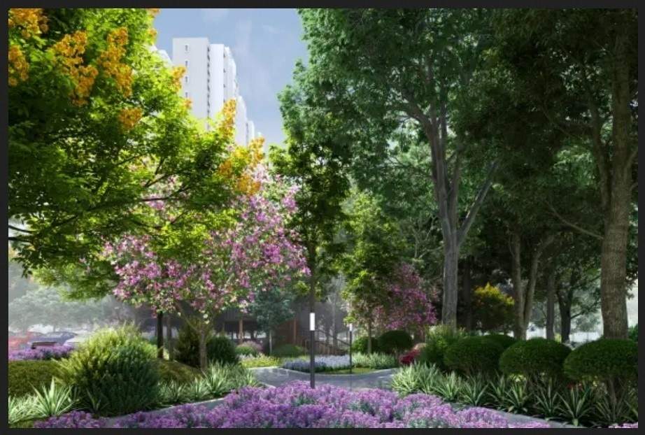 Purva Northern Lights