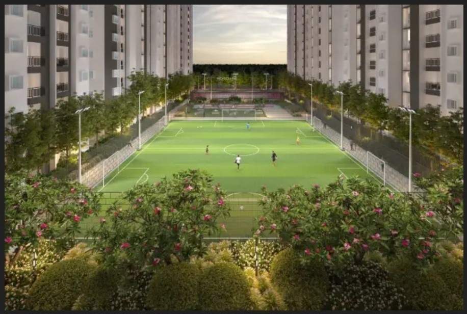 Purva Northern Lights