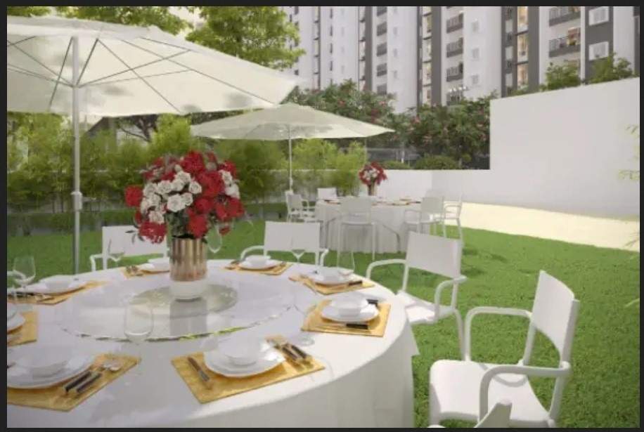 Purva Northern Lights