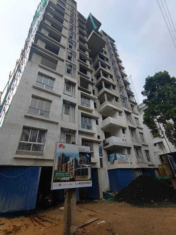  pearl Construction Status July 24