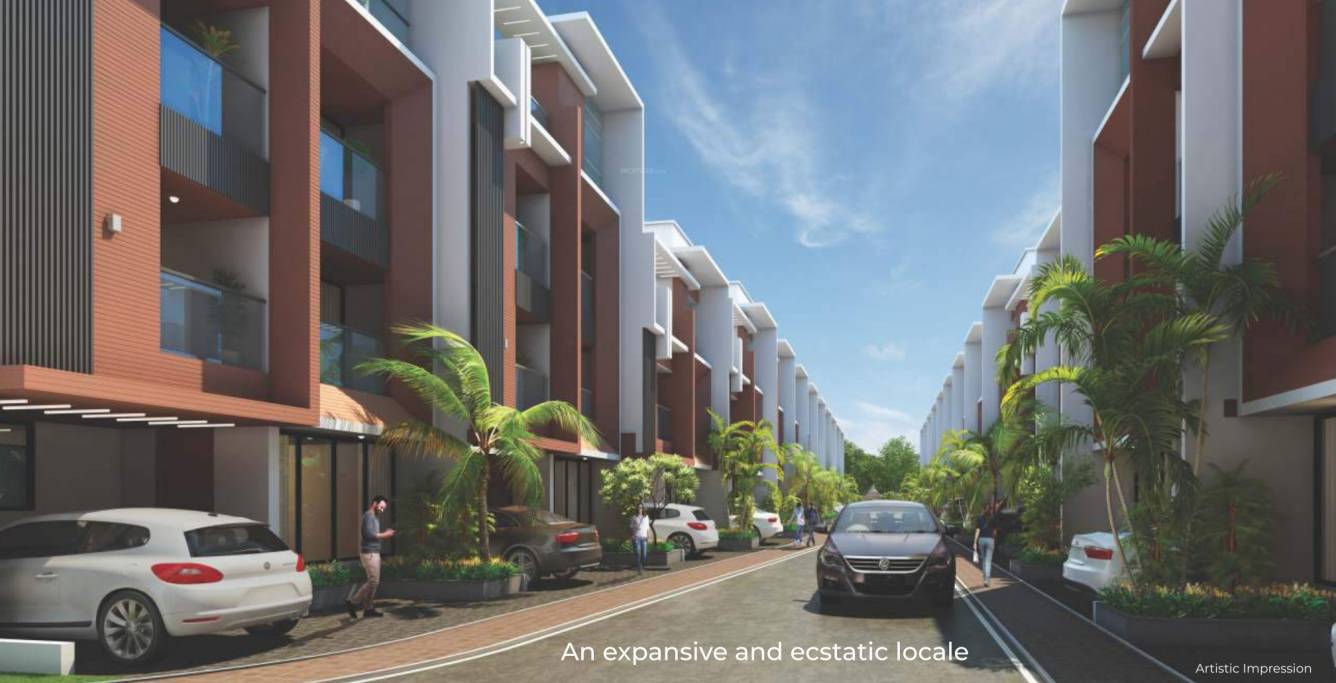  gandharv marigold rh 19 to 24 Elevation