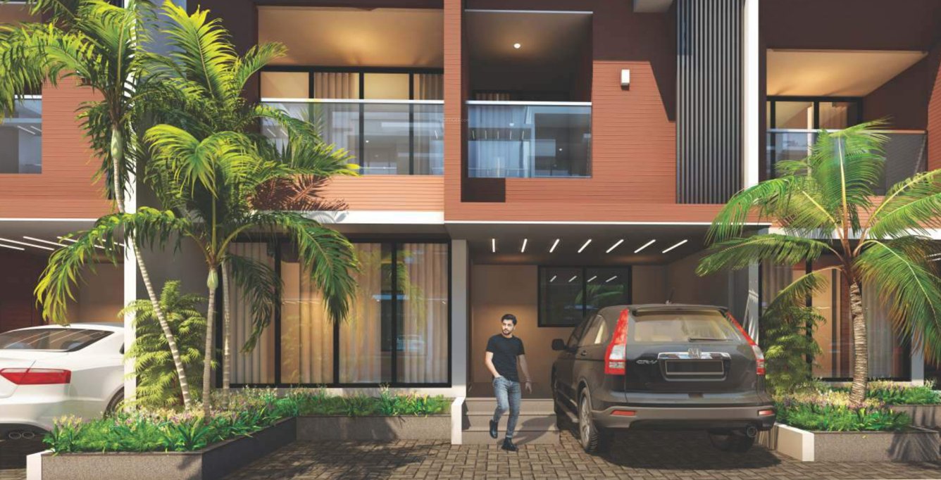  gandharv marigold rh 19 to 24 Elevation