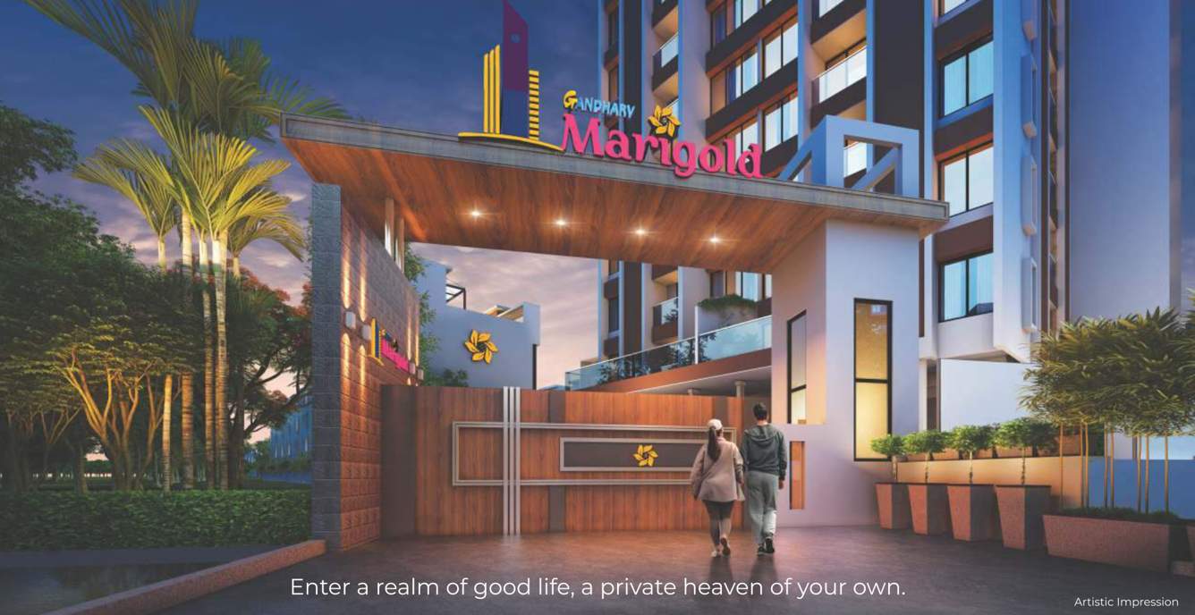  gandharv marigold rh 19 to 24 Others