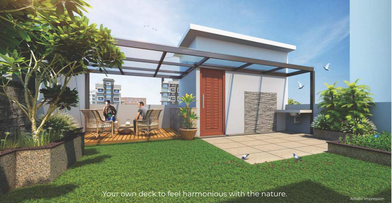  gandharv marigold rh 19 to 24 Others