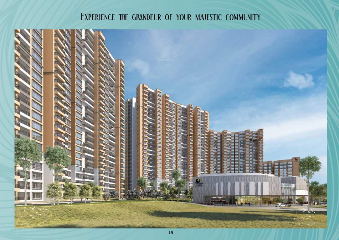  serenity shores Elevation