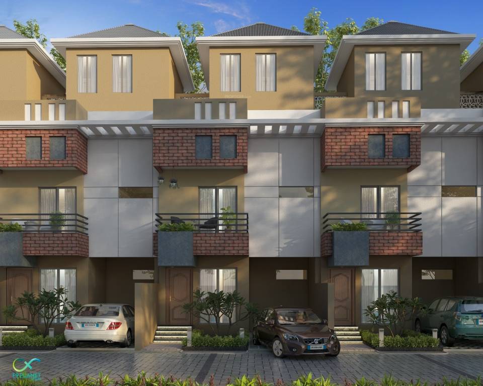  palm villa Elevation