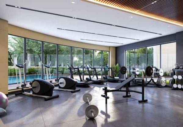  palm-villa Gymnasium