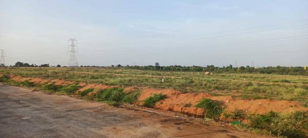  amber-homes Elevation