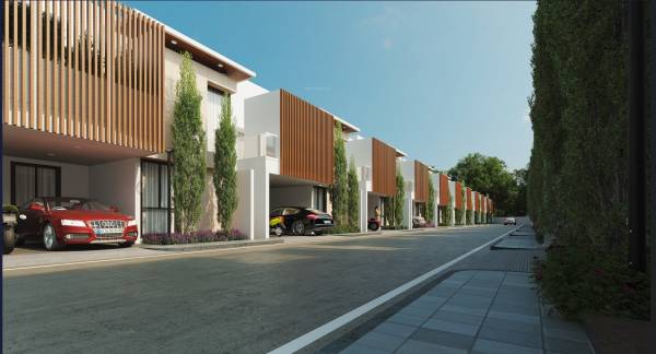  soul-garden Elevation