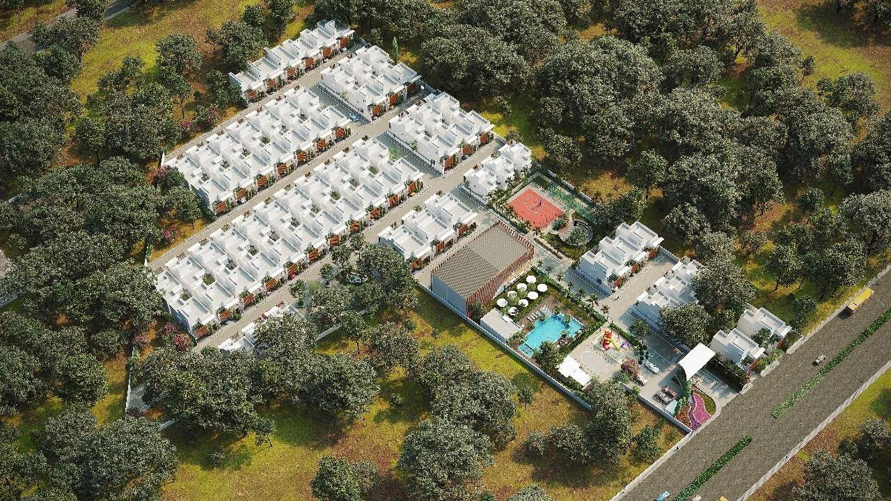  soul garden Elevation