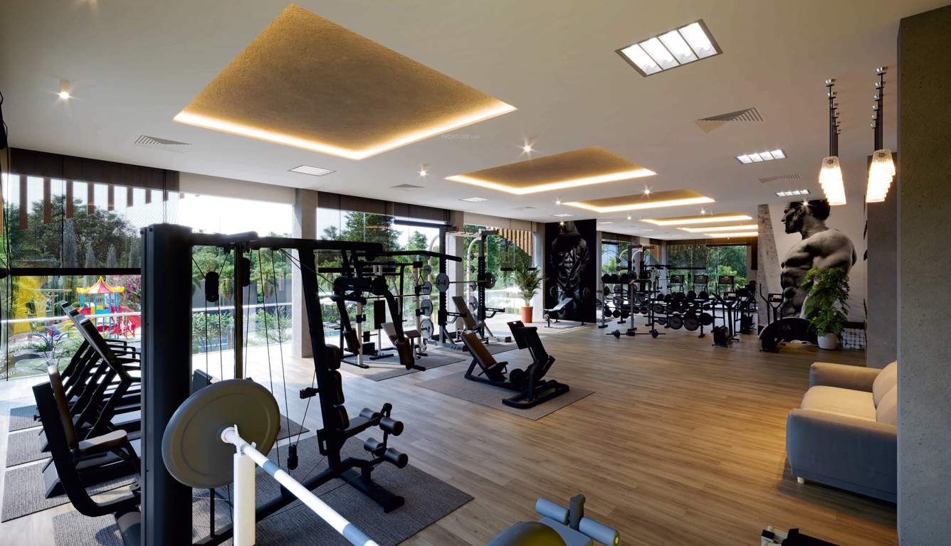  soul garden Gymnasium
