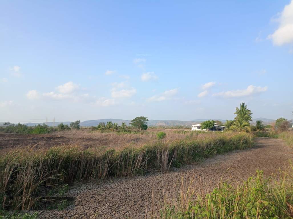 properties ulwe Plot