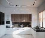 the-regent-phase-2 Kitchen