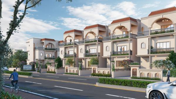 Elevation broadleaf-15 Elevation