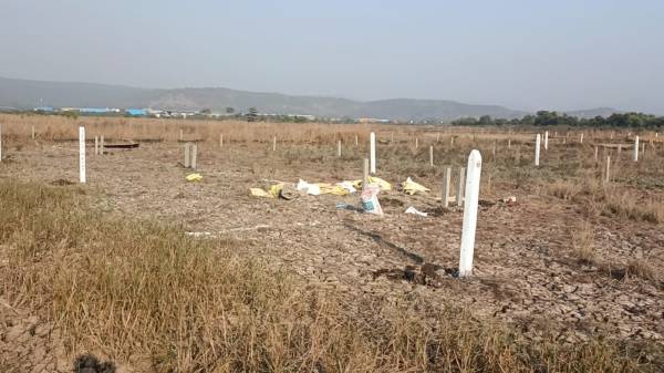  guru-in-ranjanpada Plot