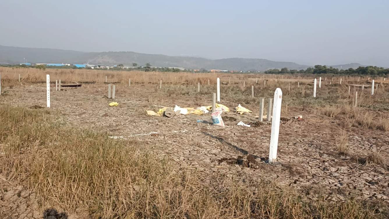  guru in ranjanpada Plot
