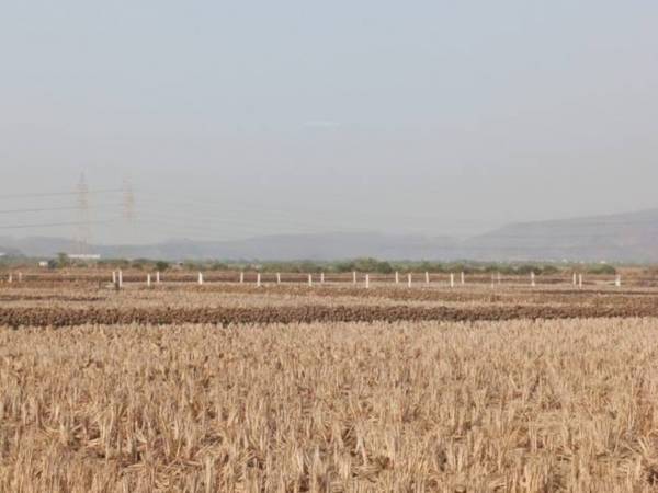  guru-in-ranjanpada Plot