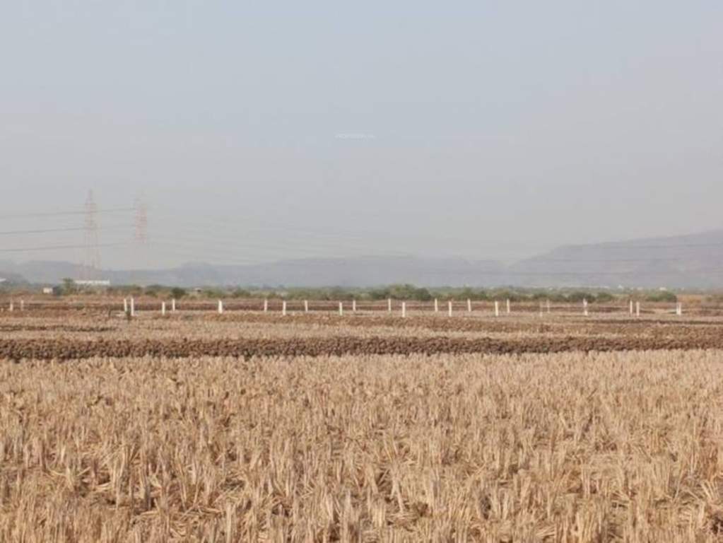 guru in ranjanpada Plot